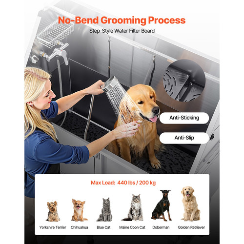 Baignoire chien animaux - baignoire,
