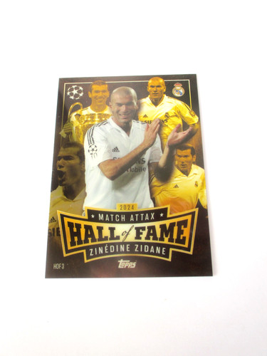 Zidane madrid hall - madrid,