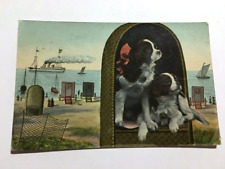 FANCY CARD - 2 dogs in a seaside basket