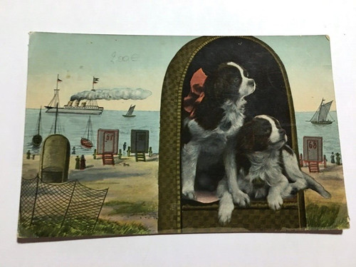 Carte fantaisie 2 chiens - carte,