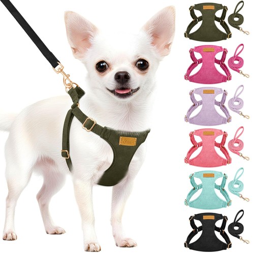 Harnais pour chien - pour,