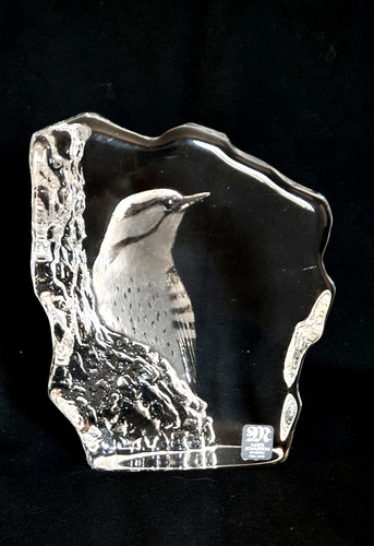 Magnifique oiseau bloc - magnifique,