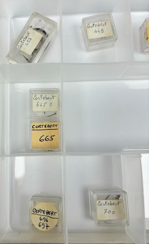 Pièces pour calibre - , cortebert