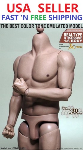 Scale male muscular - muscular, figure