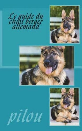 Guide chiot berger - chiot,