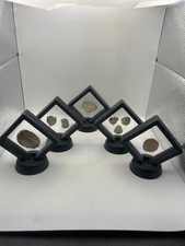 Lot coraux fossiles en cadres