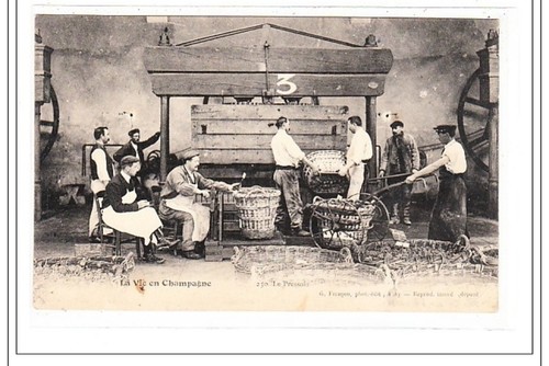 Champagne pressoir tres - champagne,