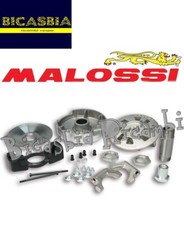 19601 - Variateur malossi