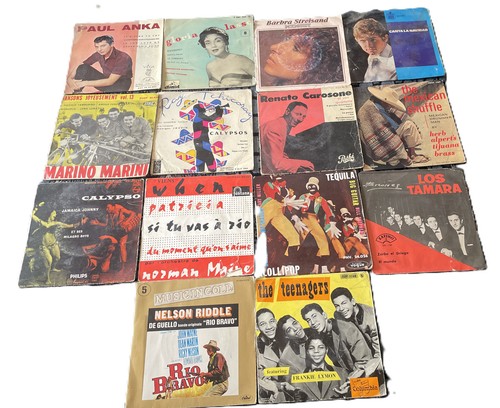 Lot disques vinyles 45t - 14,
