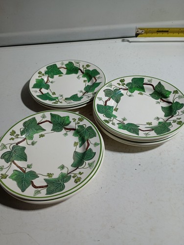 Wedgewood napoleon ivy 5 - 9,