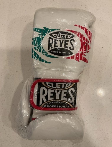 Cleto reyes sparring boxing - reyes,