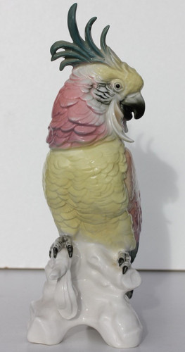 Karl ens oiseau - ens,