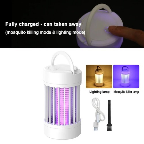 Lampe électrique