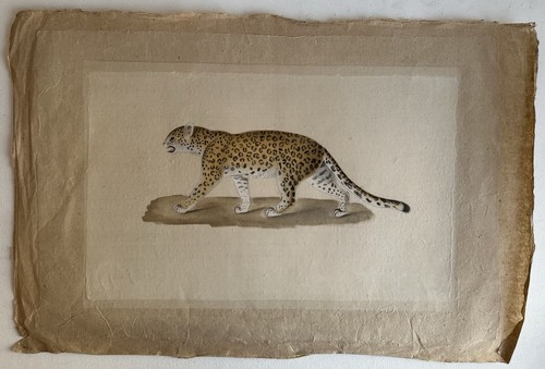 Ancienne peinture aquarelle