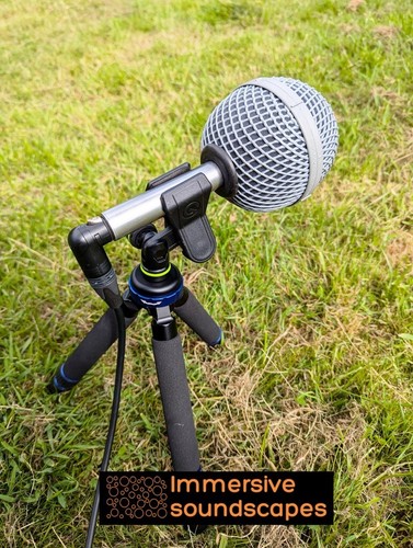 Earsight professional xlr - -,