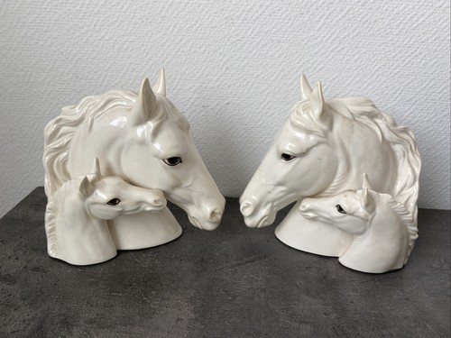 Serre livre cheval poulain - et,