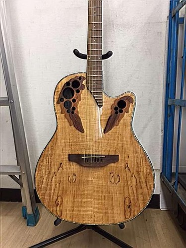 Guitare électrique acoustique