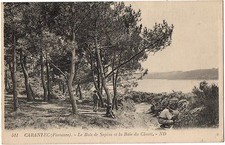 Old postcard 29 - Carantec (Finistère) - 511. Le Bois de Sapins et la Baie du Clouët - ND