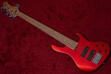 Basse électrique 5 cordes