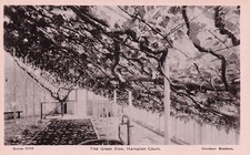 UNITED KINGDOM HAMPTON COURT THE GREAT WINE