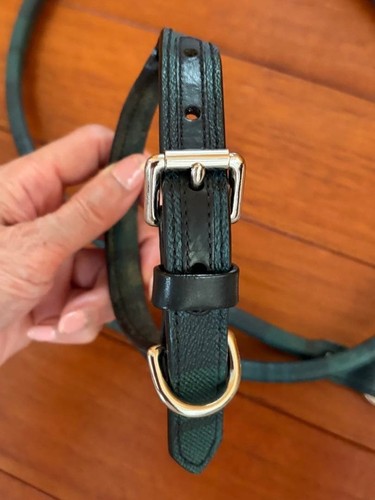 Ensemble collier pour chien