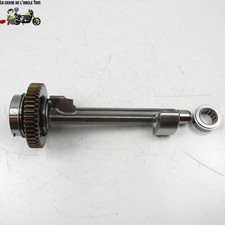 Balancier Triumph 765 street