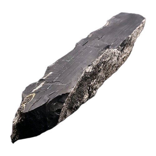 Jais brut fossile - fossile, france