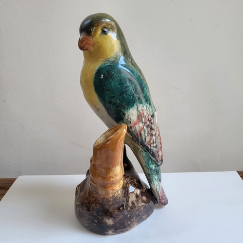 Oiseau perruche soliflore - perruche,