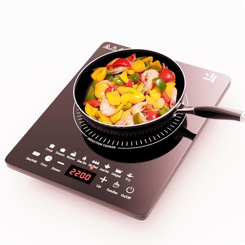 Plaque induction 2200w - plaque, induction,