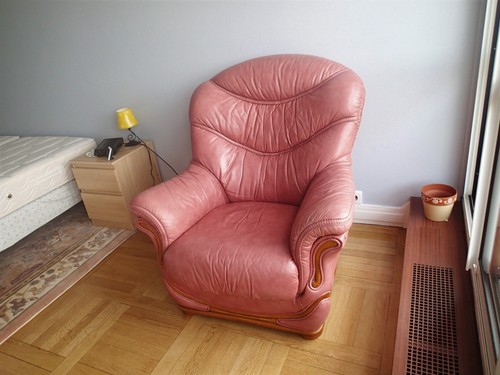 Fauteuils cuir pleine - cuir,
