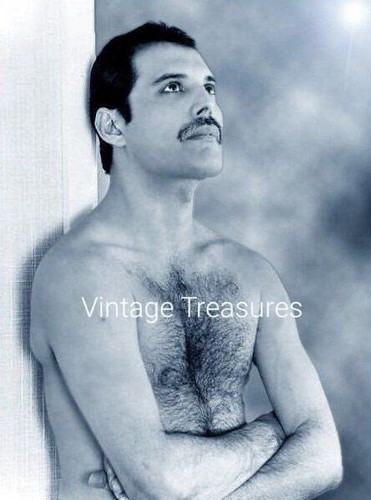 Freddie mercury reflecting - freddie,
