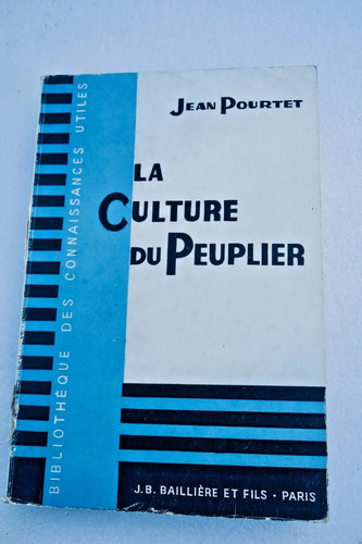 Peuplier culture du - culture,