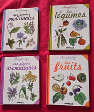 Mon petit potager - lot de 4