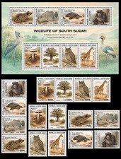 SOUTH SUDAN 2026 PACK S/S +16V