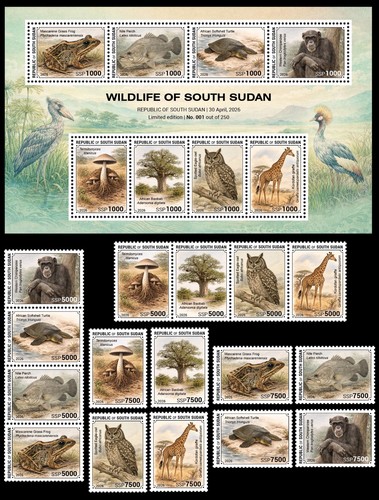 South sudan 2026 pack - south, +16v