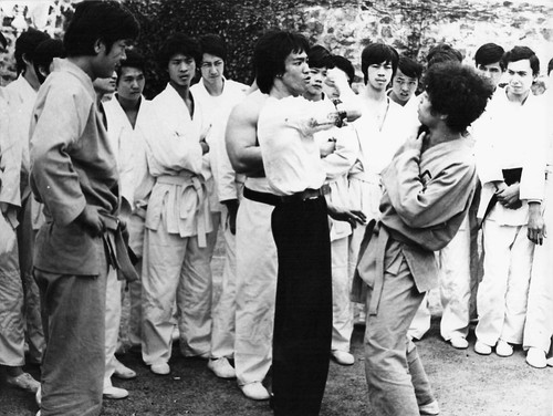Bruce lee kung fu - lee,
