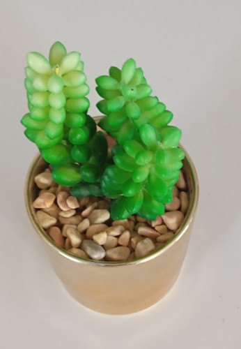 Plante succulente artificielle - plante,