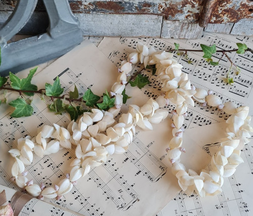 Ancien collier coquillage - ancien,