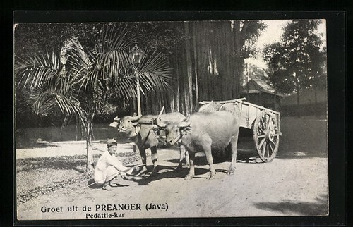 Preanger java chariot - /, à