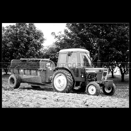Photo 015499 ford - photo, a.015499