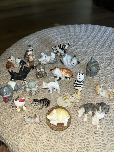 Lot petits chats - 21,