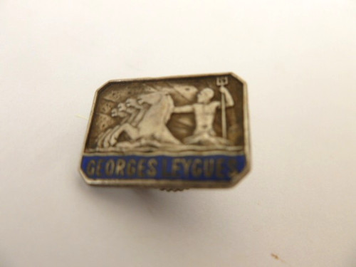 Insigne boutonnière marine - insigne,