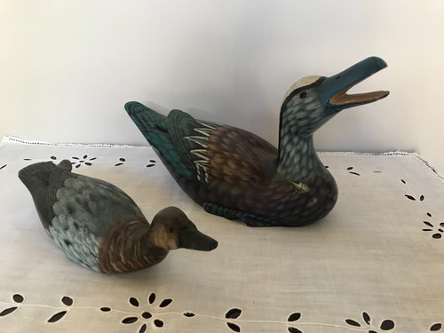 Duo canards bois - de,