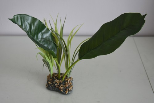 Terrarium vivarium large - terrarium,