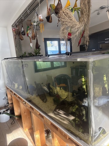 Cuve aquarium acrylique - cuve,