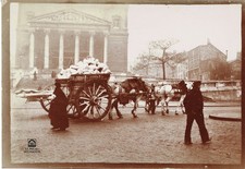 FRANCE Circa 1905 Charette