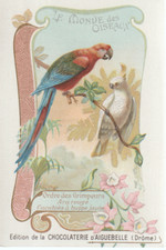 Chromo Aiguebelle le monde des oiseaux. order of climbers, red macaw, cockatoos