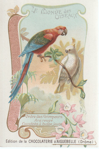 Chromo aiguebelle monde des - aiguebelle,