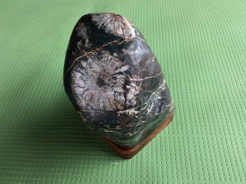 Suiseki bonseki bonsaï jardin - bonseki,