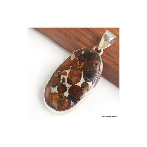 Gros pendentif authentique - pendentif,